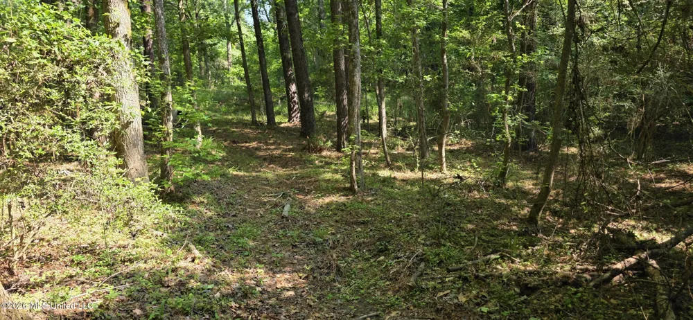 357 SE Nations Brookhaven, MS 39601