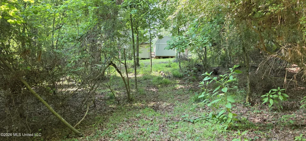 357 SE Nations Brookhaven, MS 39601