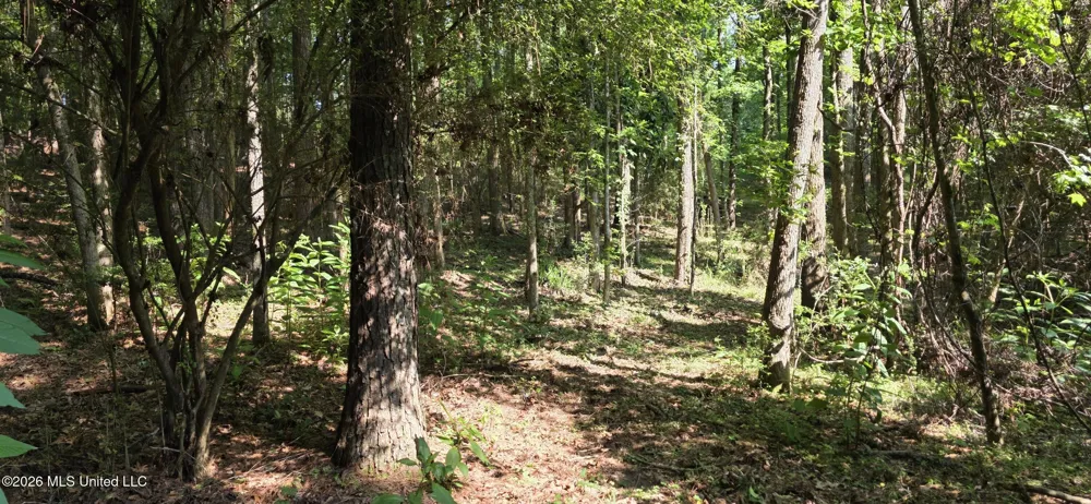 357 SE Nations Brookhaven, MS 39601