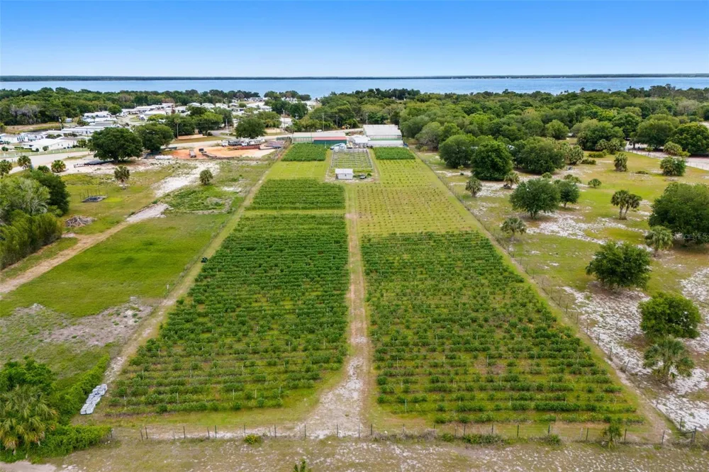 3510 WALK IN WATER ROAD Lake Wales, FL 33898