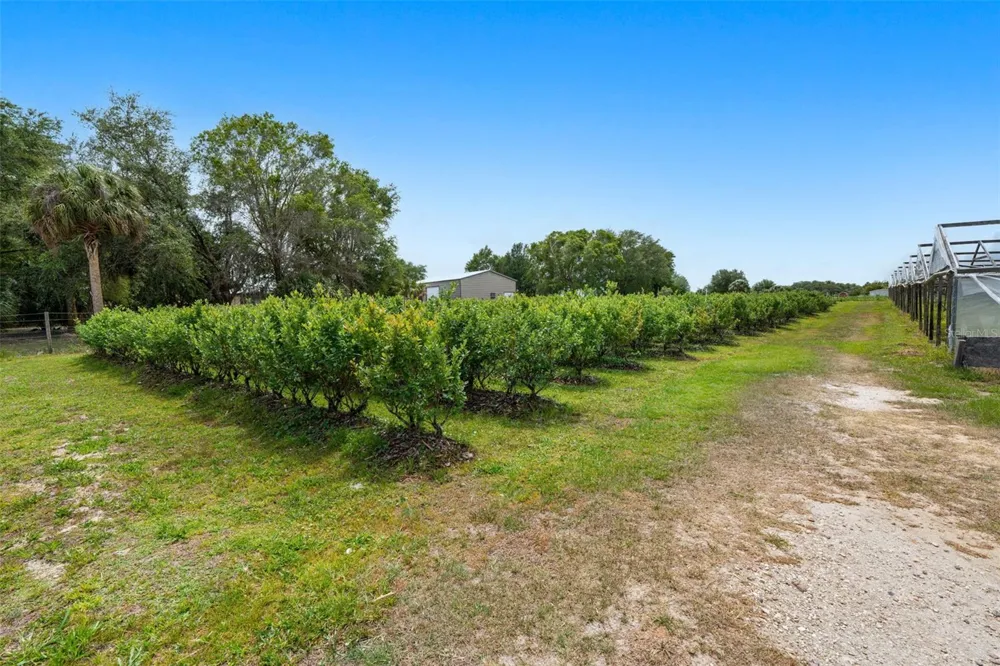 3510 WALK IN WATER ROAD Lake Wales, FL 33898