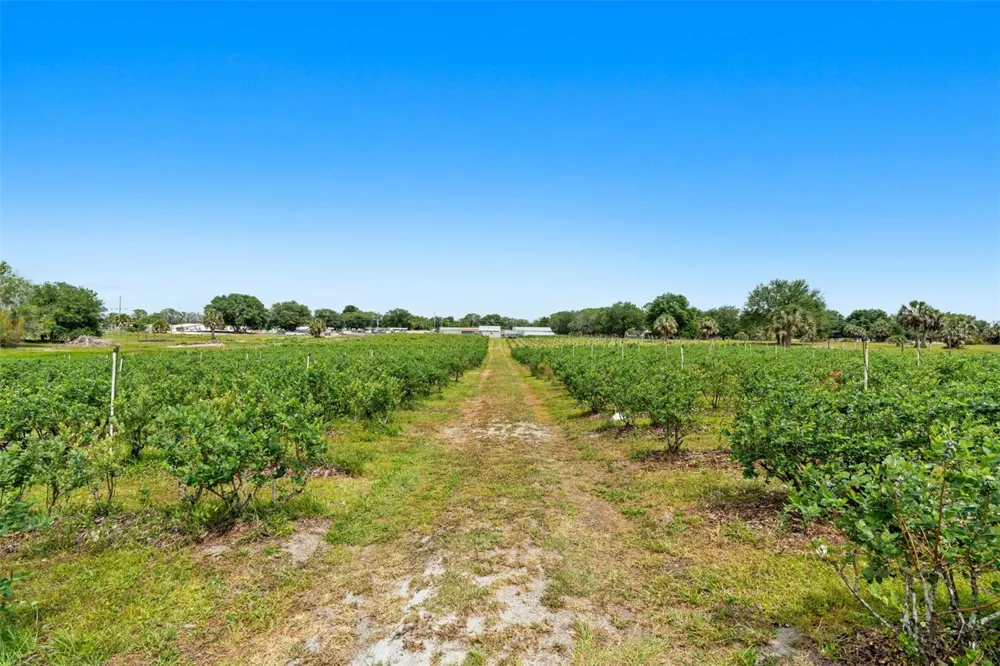 3510 WALK IN WATER ROAD Lake Wales, FL 33898