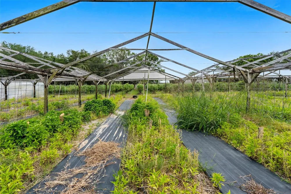 3510 WALK IN WATER ROAD Lake Wales, FL 33898