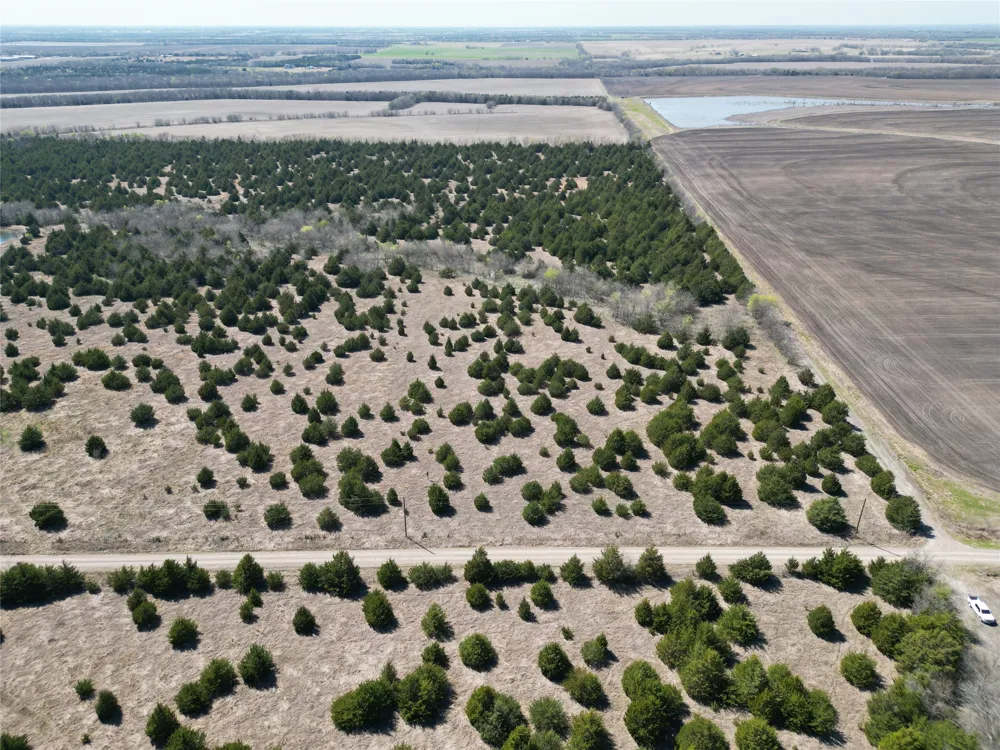 999 CR3805 Bailey, TX 75413
