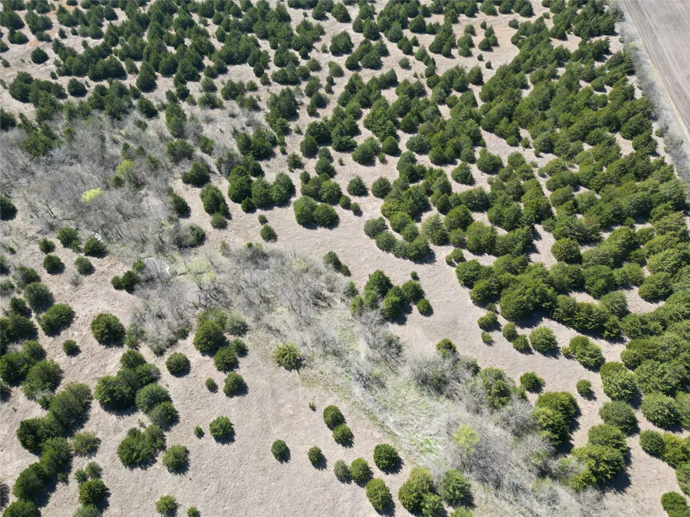 999 CR3805 Bailey, TX 75413