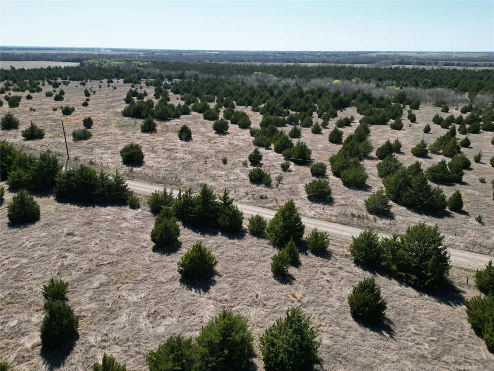999 CR3805 Bailey, TX 75413