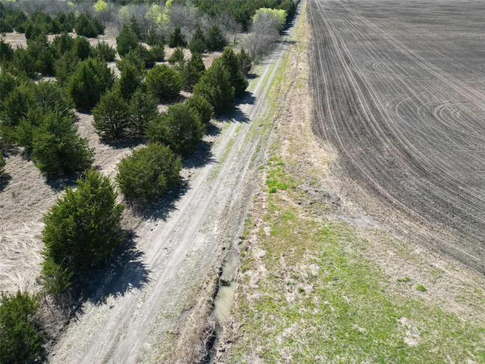 999 CR3805 Bailey, TX 75413