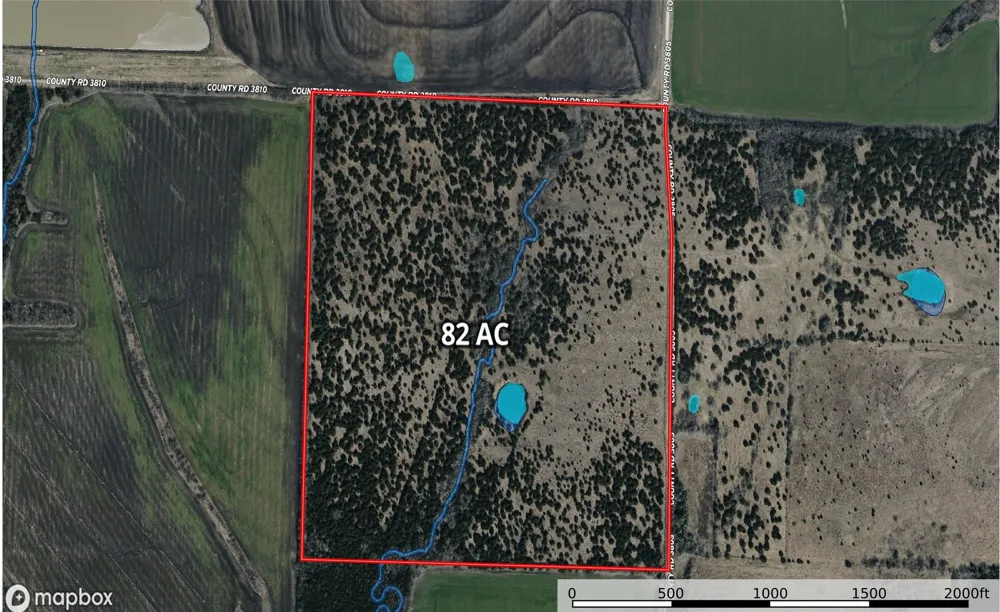 999 CR3805 Bailey, TX 75413