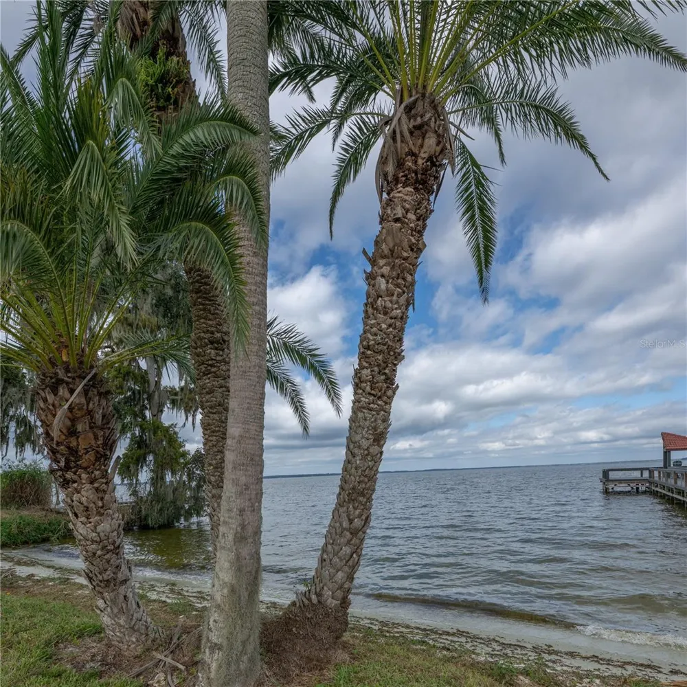 109 WATERWOOD DRIVE Yalaha, FL 34797