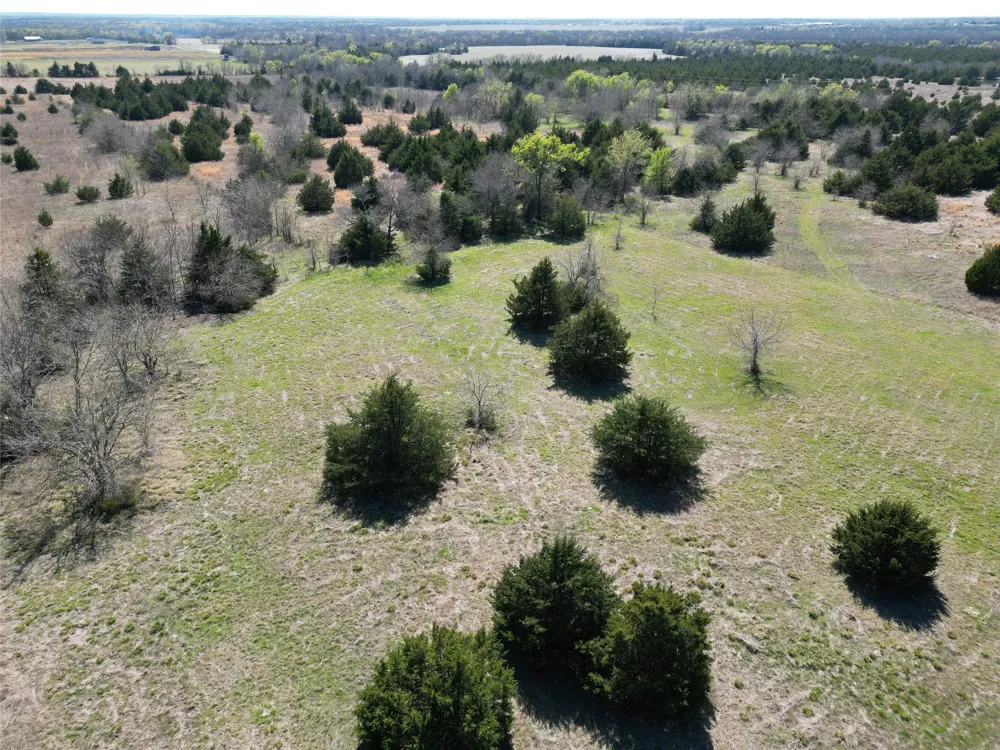 999 CR3805 Bailey, TX 75413