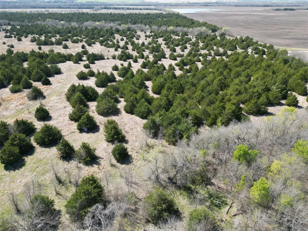 999 CR3805 Bailey, TX 75413