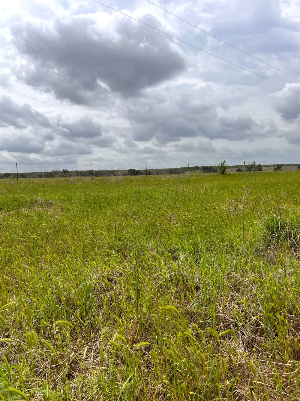2 FM 112 Roads Thrall, TX 76578