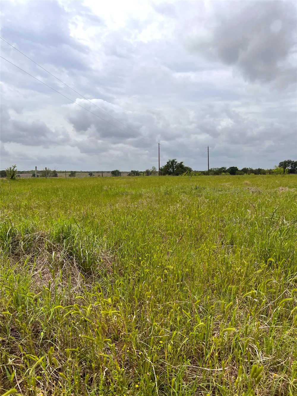 2 FM 112 Roads Thrall, TX 76578