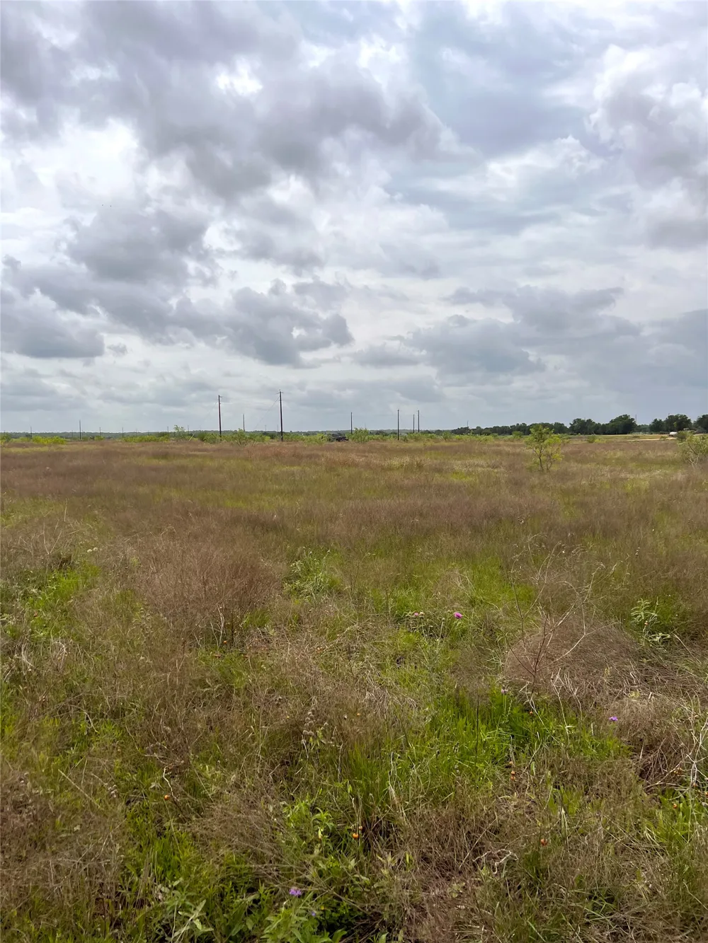 2 FM 112 Roads Thrall, TX 76578