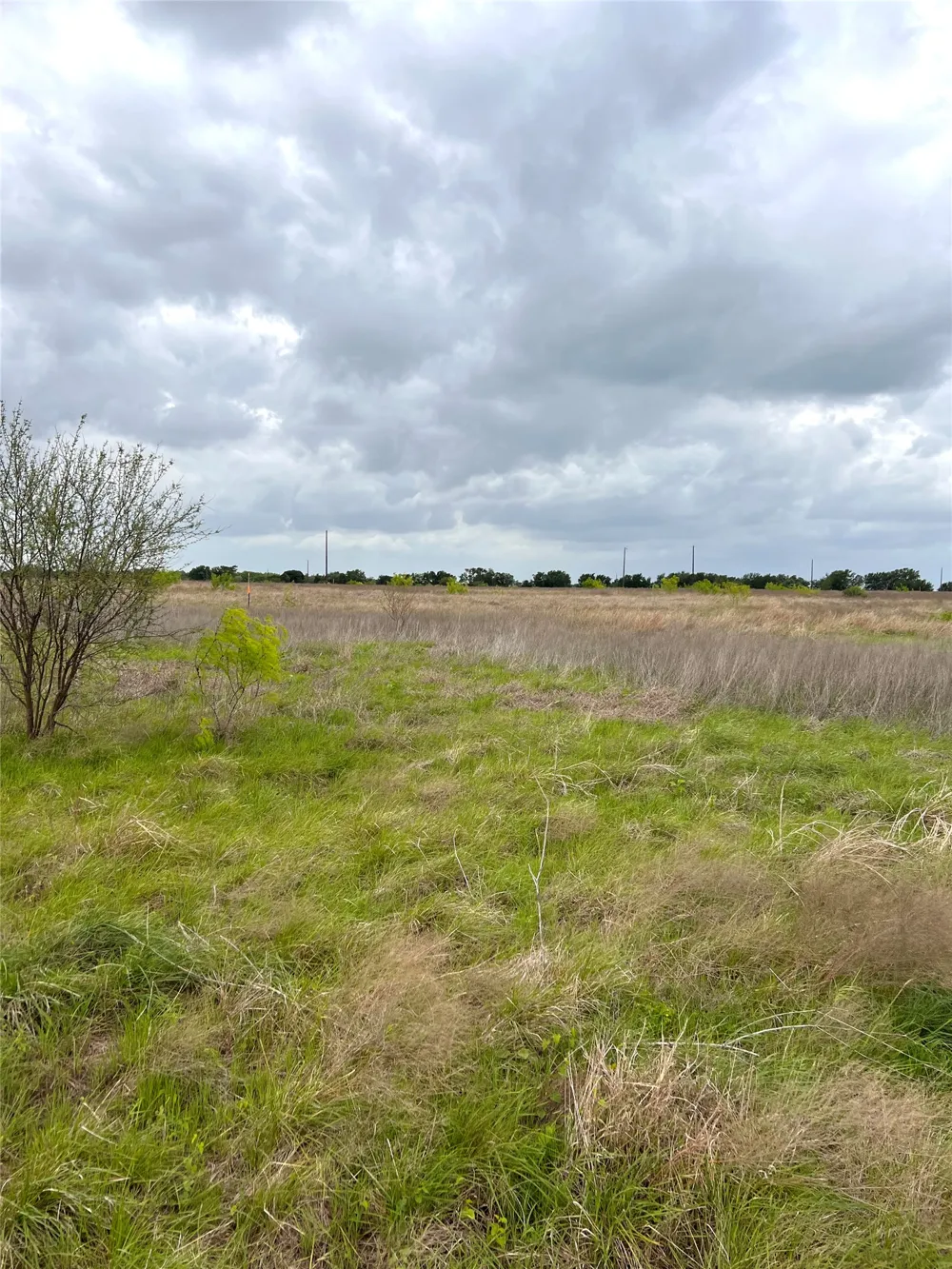 2 FM 112 Roads Thrall, TX 76578