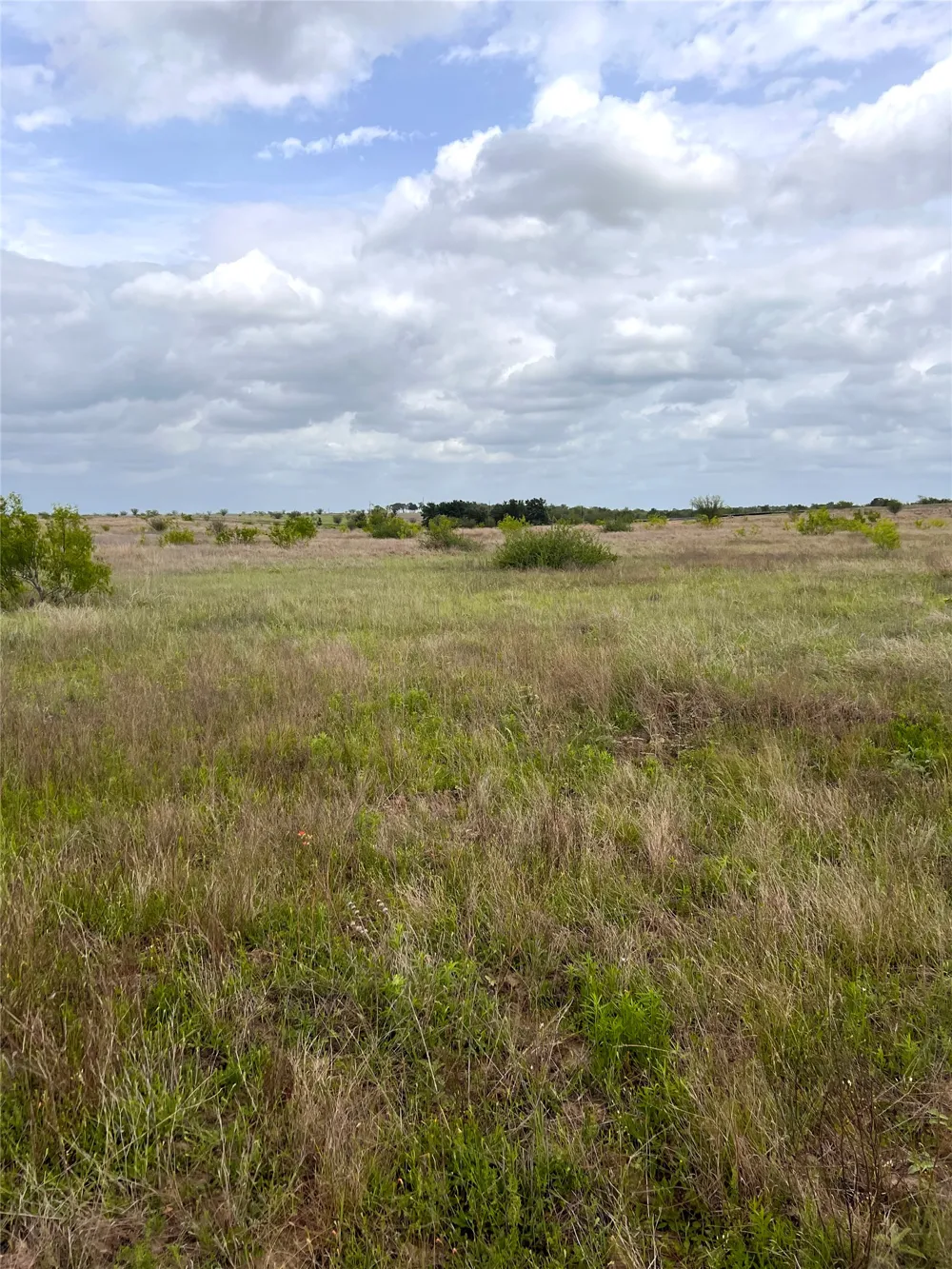 2 FM 112 Roads Thrall, TX 76578