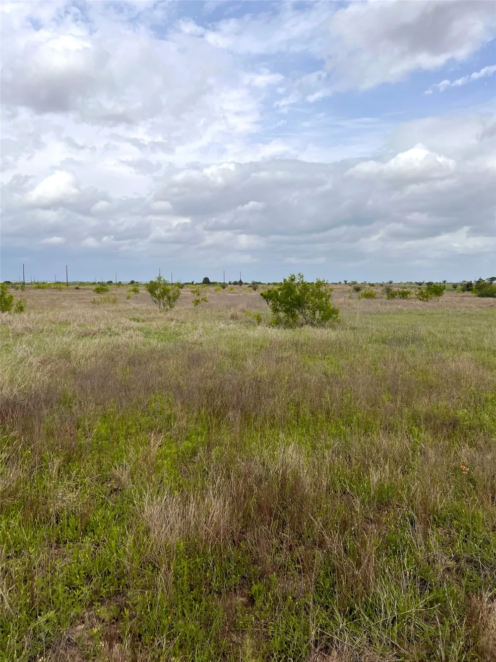2 FM 112 Roads Thrall, TX 76578