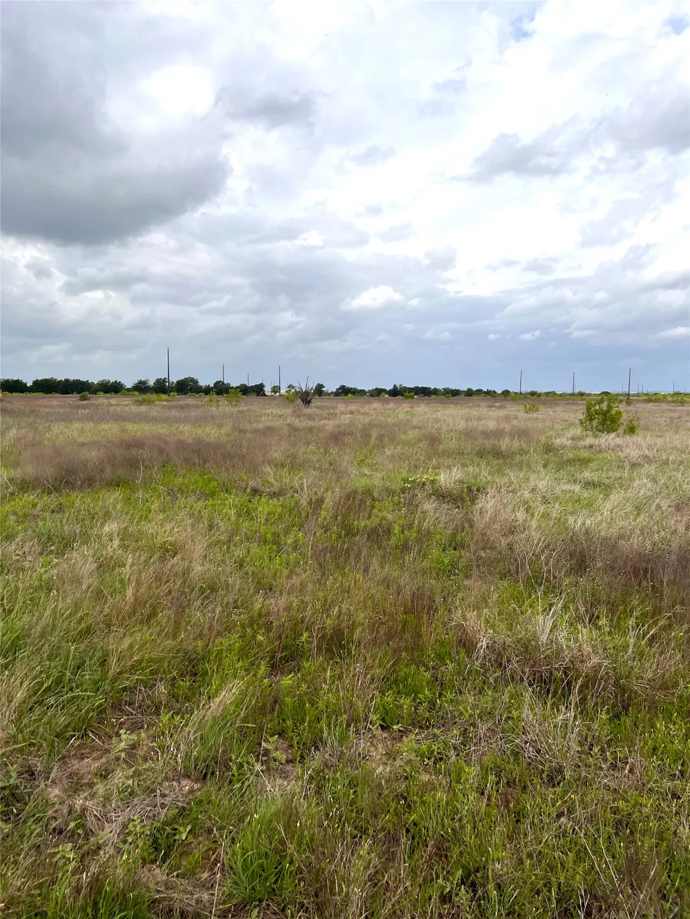 2 FM 112 Roads Thrall, TX 76578