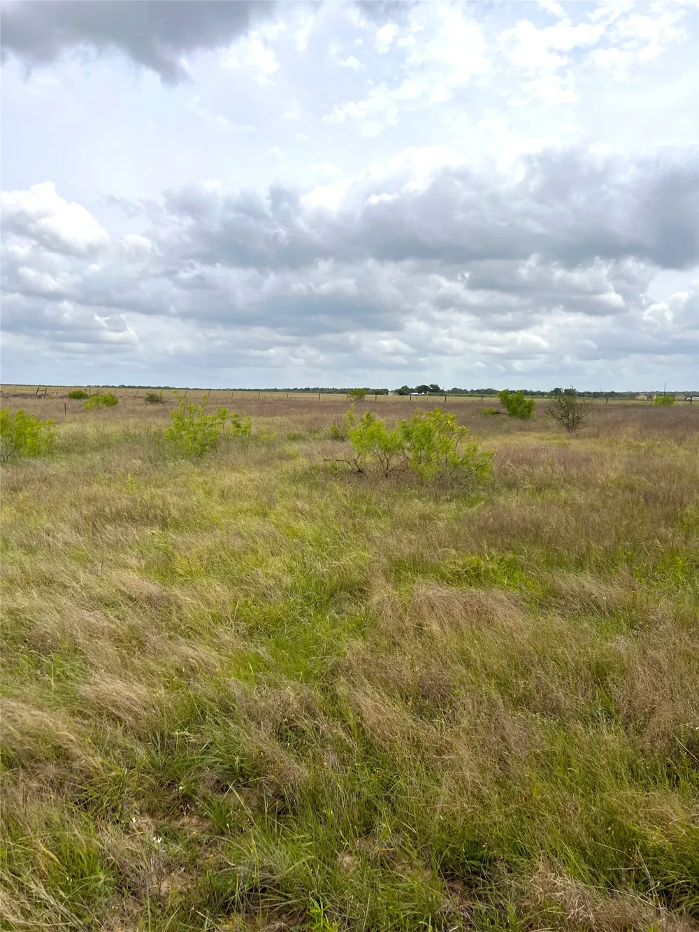2 FM 112 Roads Thrall, TX 76578