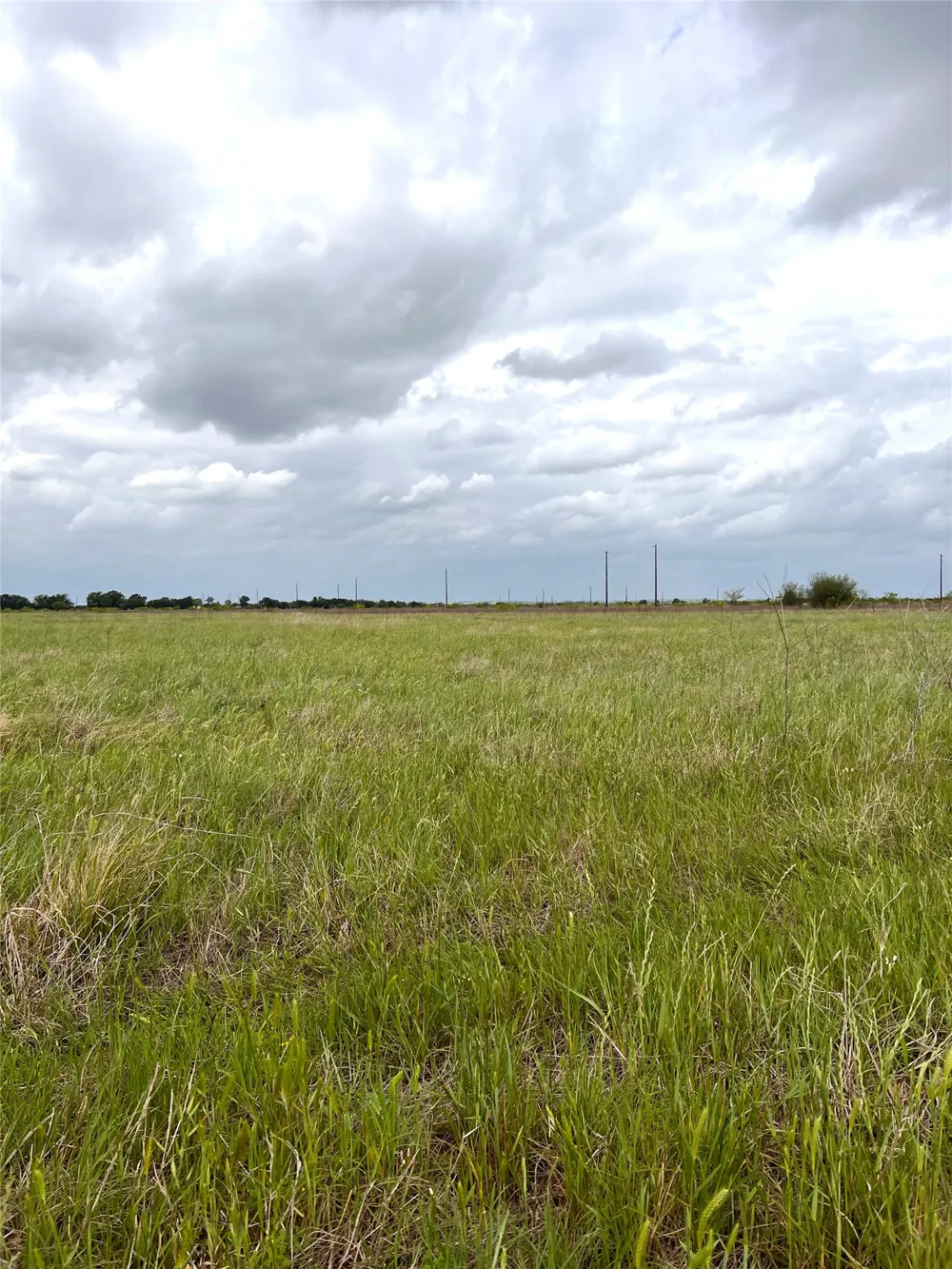 2 FM 112 Roads Thrall, TX 76578