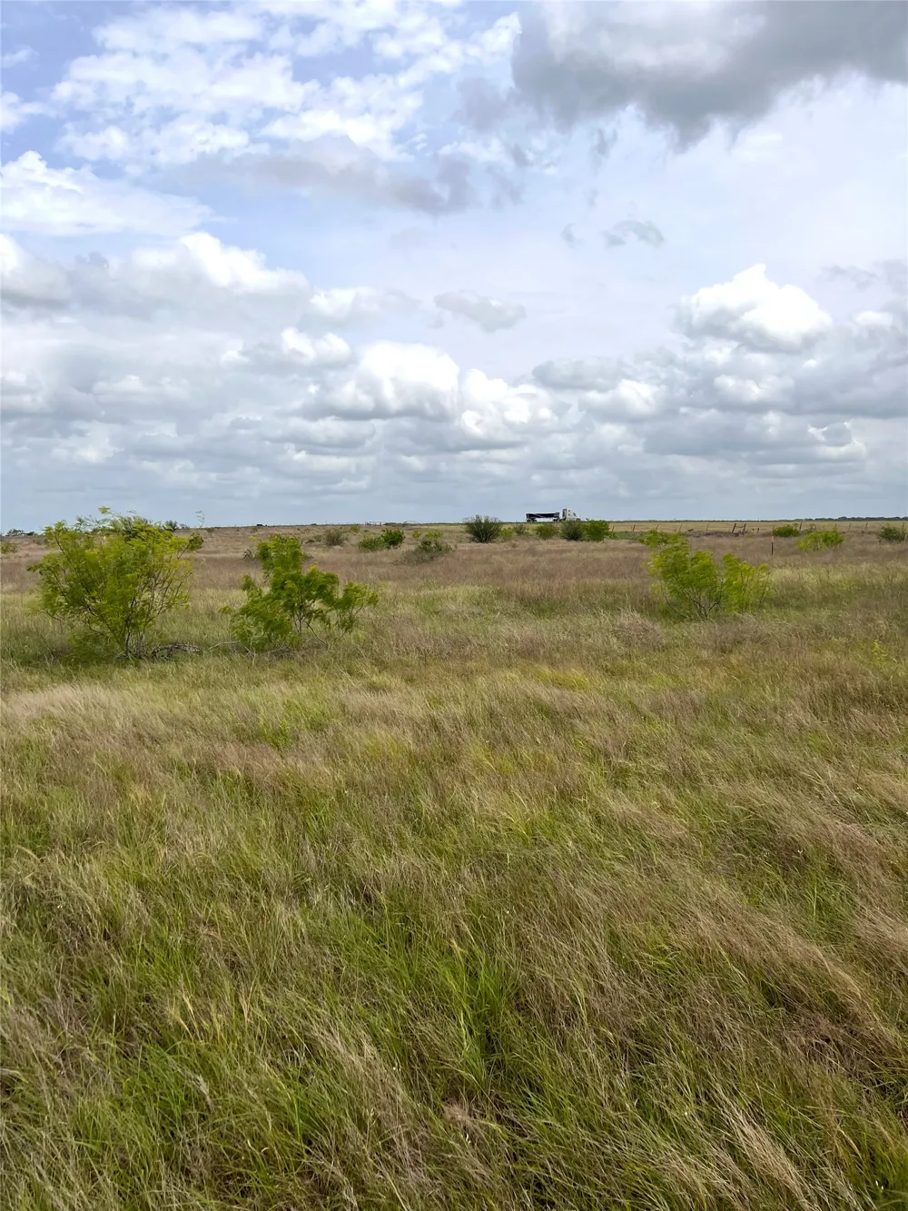 2 FM 112 Roads Thrall, TX 76578
