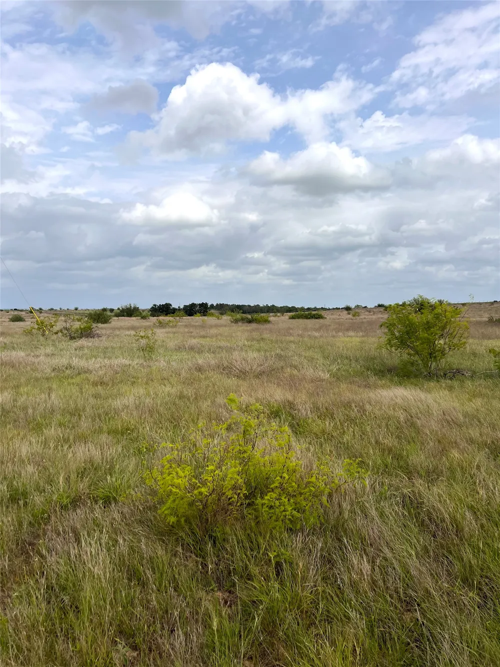 2 FM 112 Roads Thrall, TX 76578