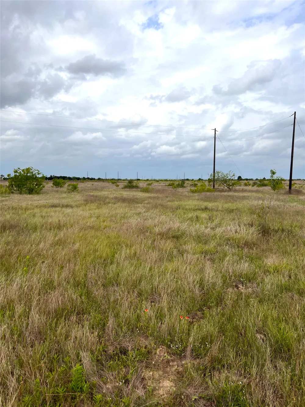 2 FM 112 Roads Thrall, TX 76578