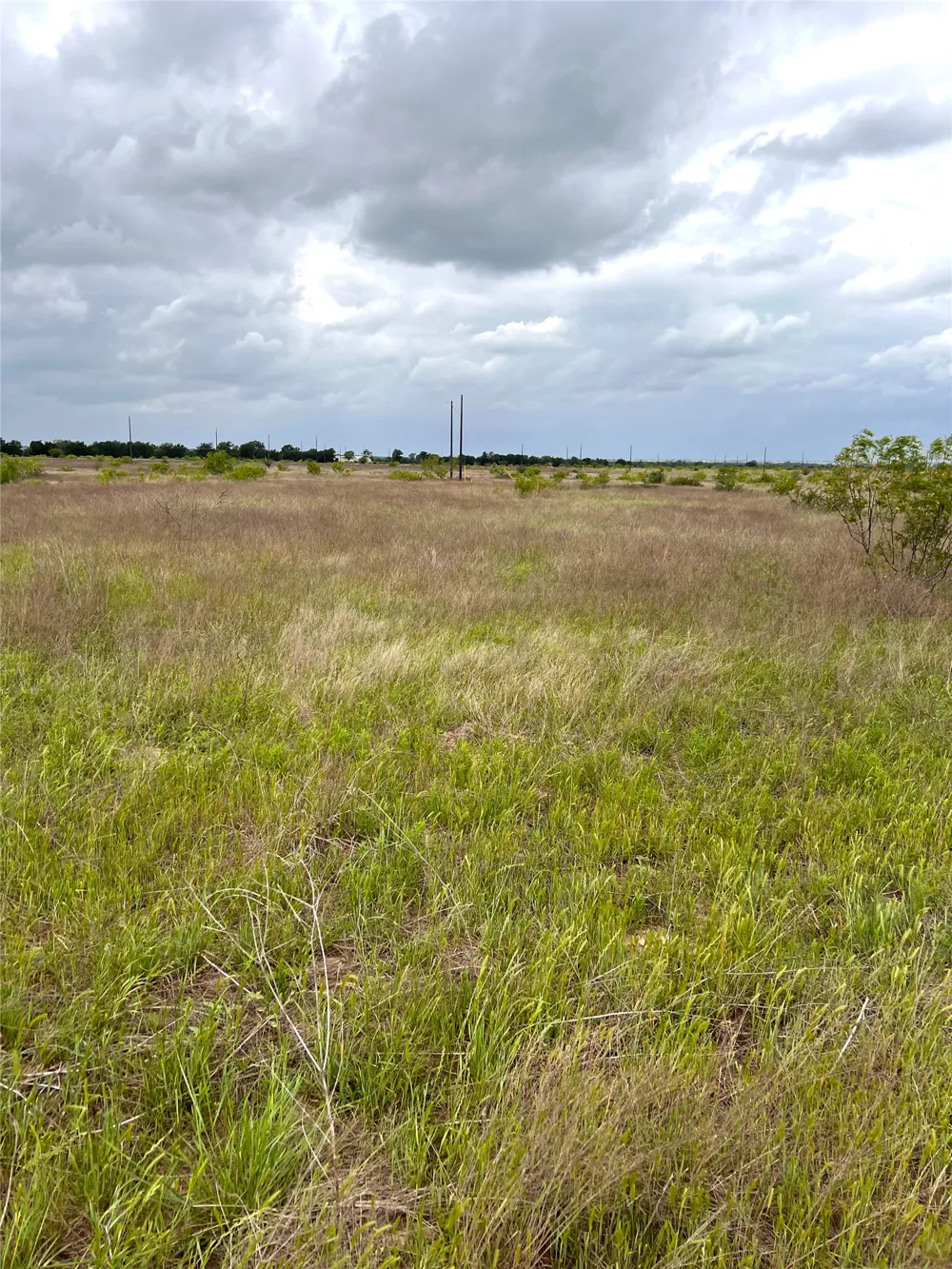 2 FM 112 Roads Thrall, TX 76578