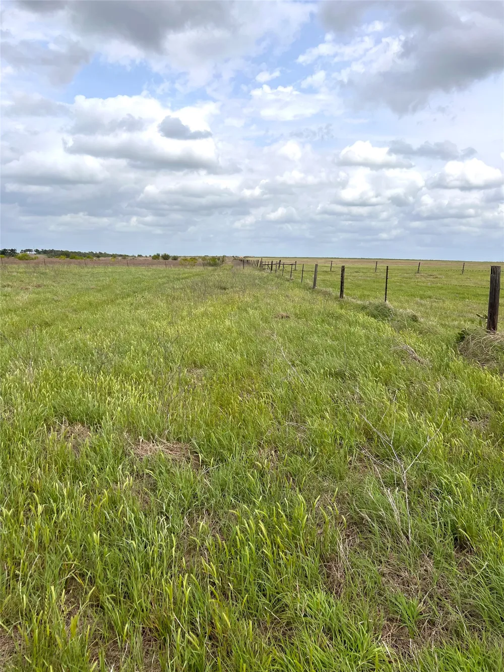 2 FM 112 Roads Thrall, TX 76578