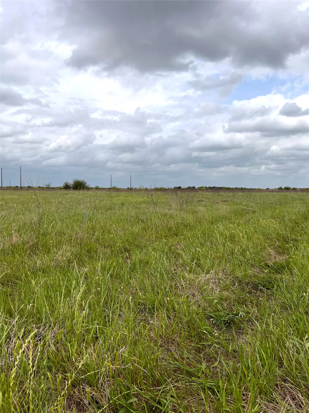 2 FM 112 Roads Thrall, TX 76578