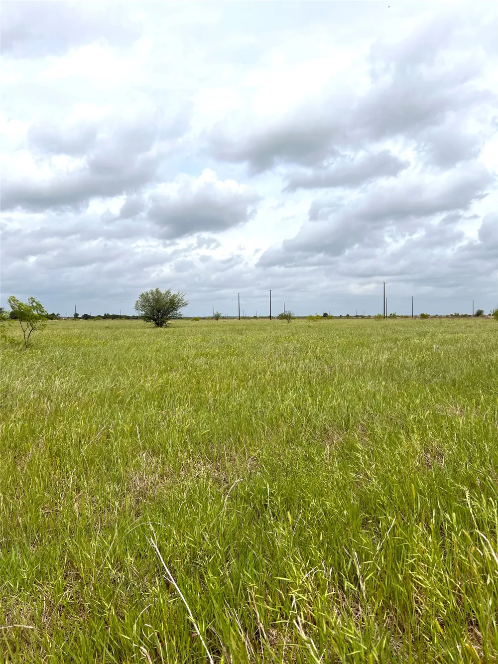 2 FM 112 Roads Thrall, TX 76578