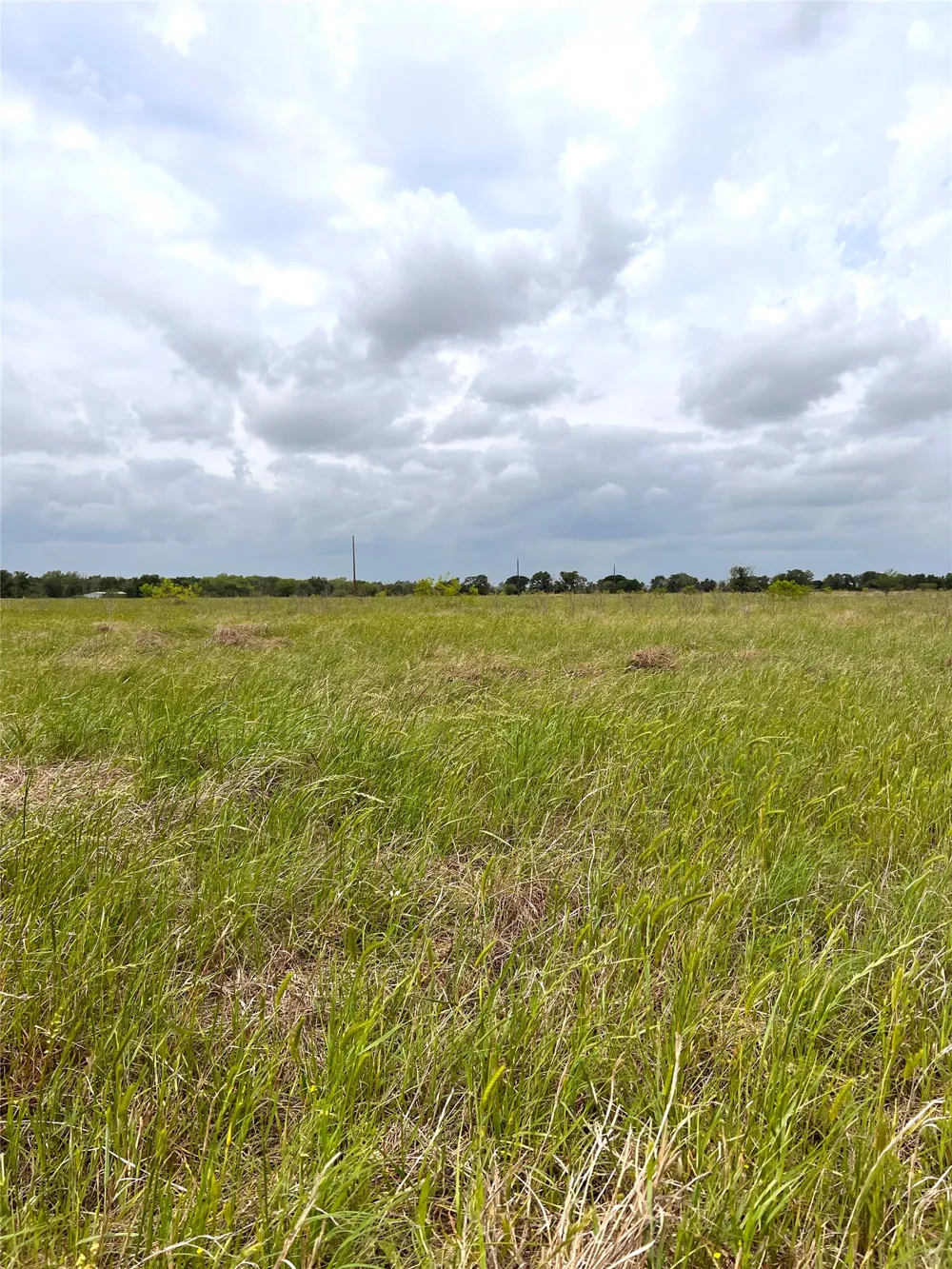 2 FM 112 Roads Thrall, TX 76578