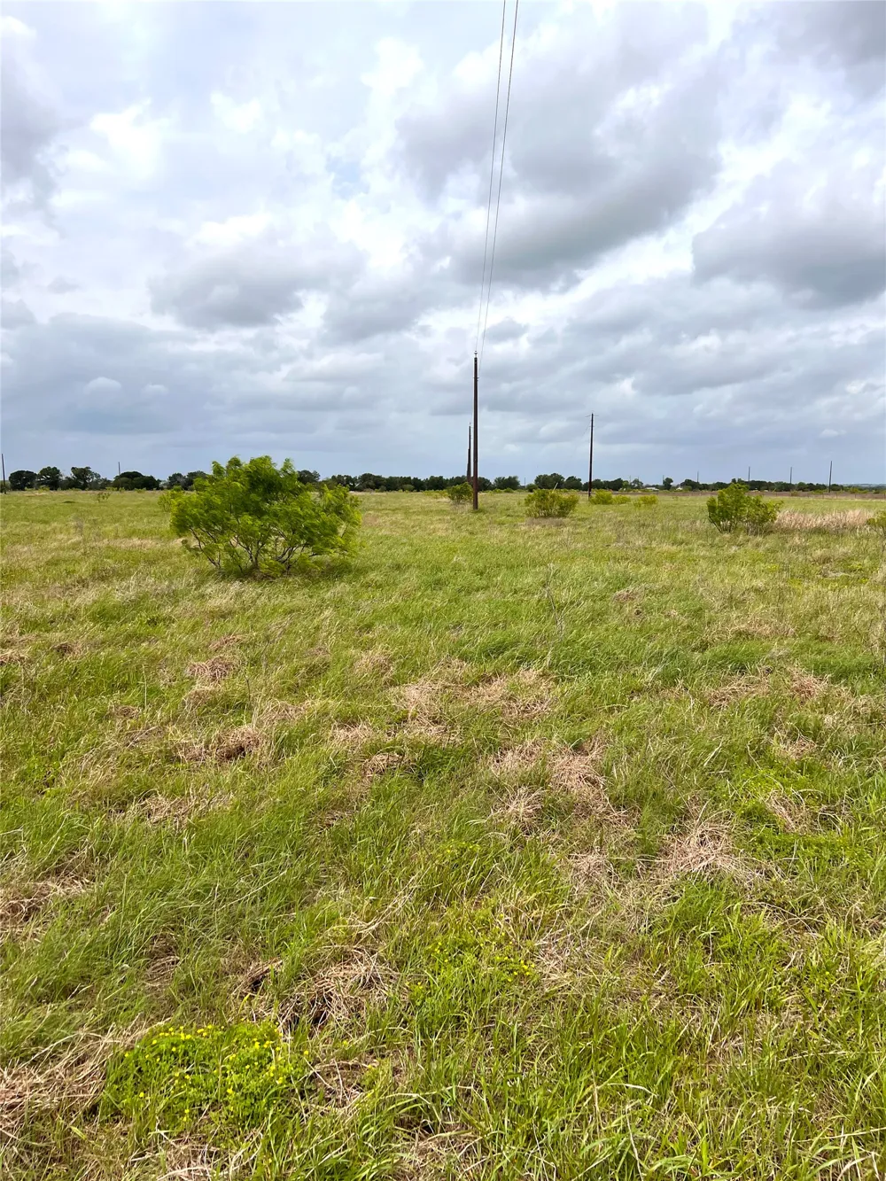 2 FM 112 Roads Thrall, TX 76578