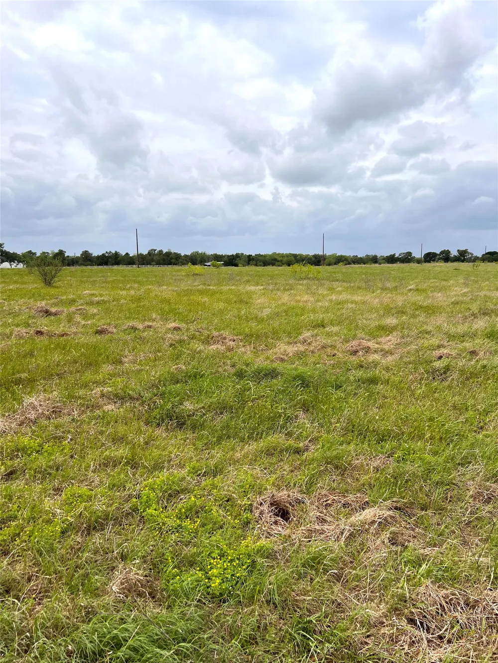2 FM 112 Roads Thrall, TX 76578