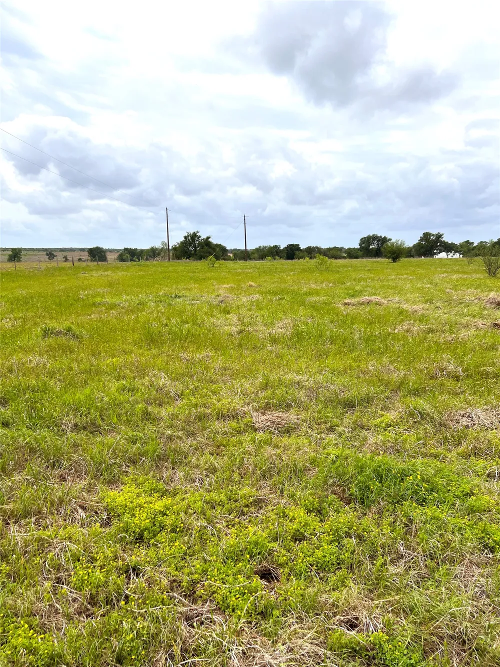 2 FM 112 Roads Thrall, TX 76578