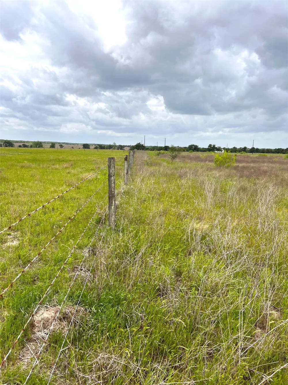 2 FM 112 Roads Thrall, TX 76578
