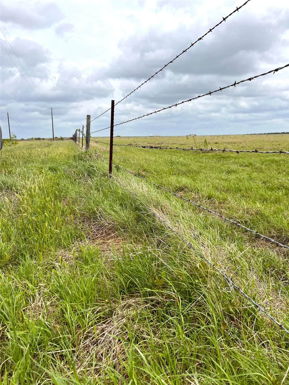 2 FM 112 Roads Thrall, TX 76578