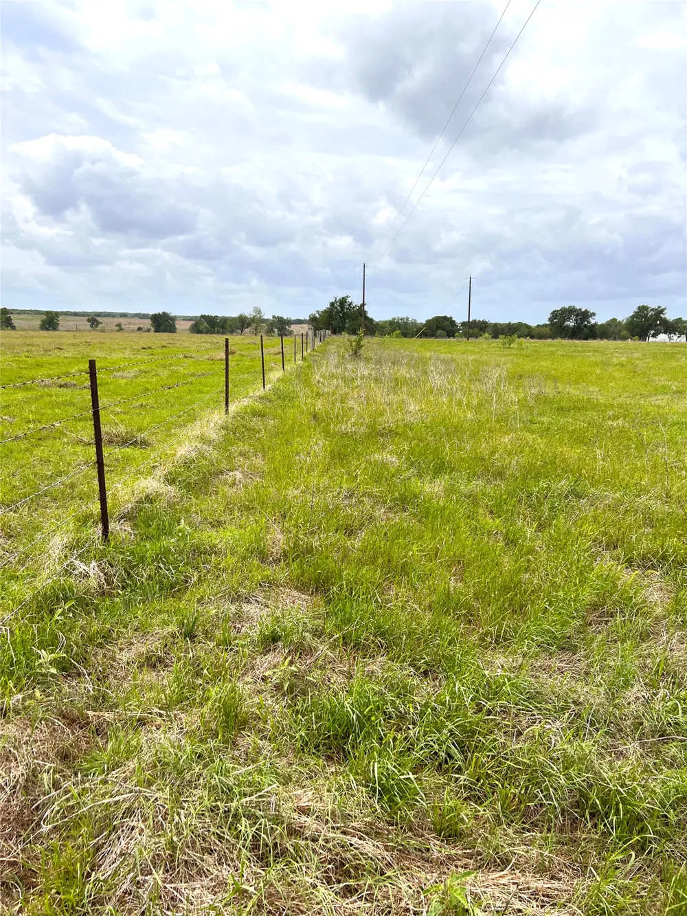 2 FM 112 Roads Thrall, TX 76578