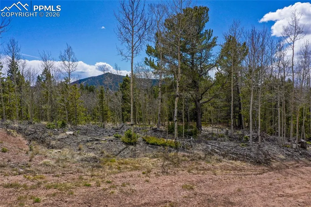 2747 County Road 61 Cripple Creek, CO 80813
