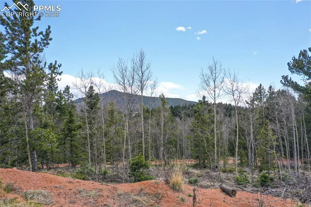 2747 County Road 61 Cripple Creek, CO 80813