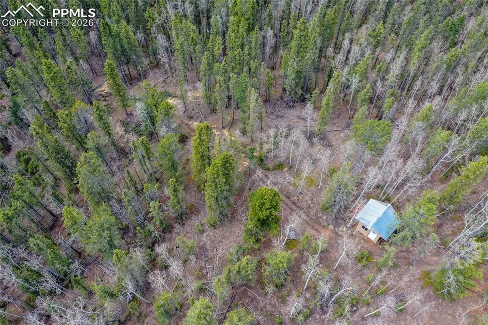 2747 County Road 61 Cripple Creek, CO 80813