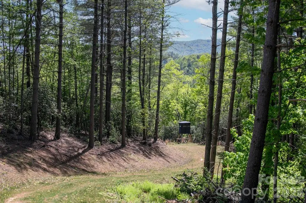 4454 Asheville Highway Pisgah Forest, NC 28768