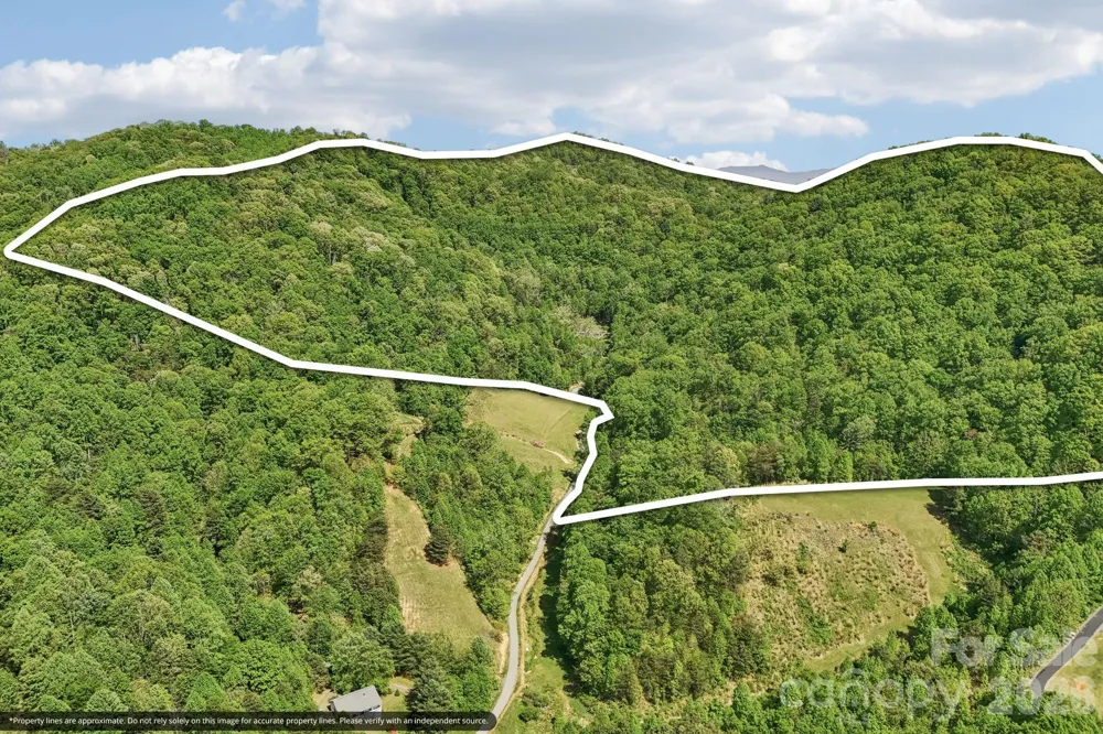 590 Willow Lane Marshall, NC 28753