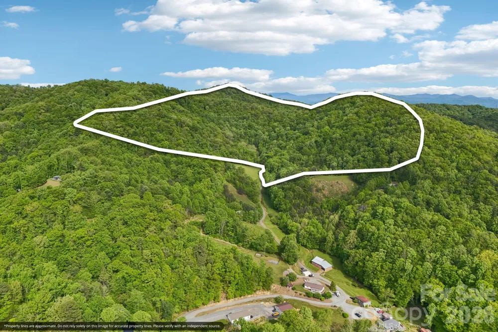 590 Willow Lane Marshall, NC 28753