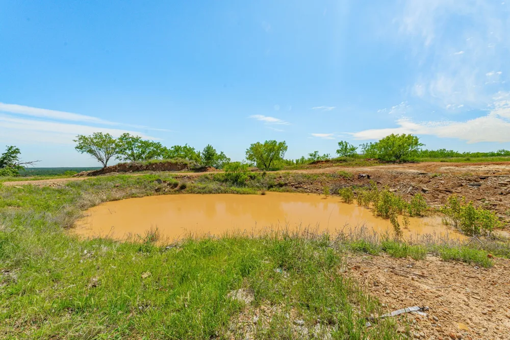 467 Weatherby Way Santo, TX 76472