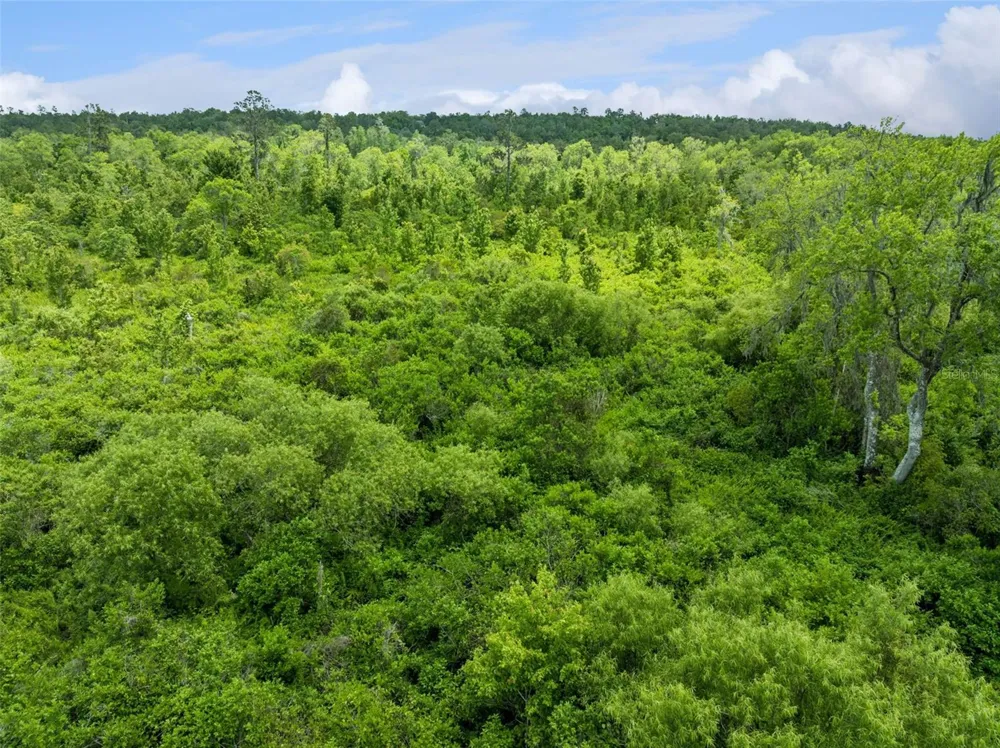CULBREATH ROAD Brooksville, FL 34602