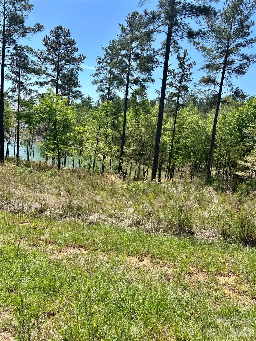2960 Jumping Run #89 Connelly Springs, NC 28612