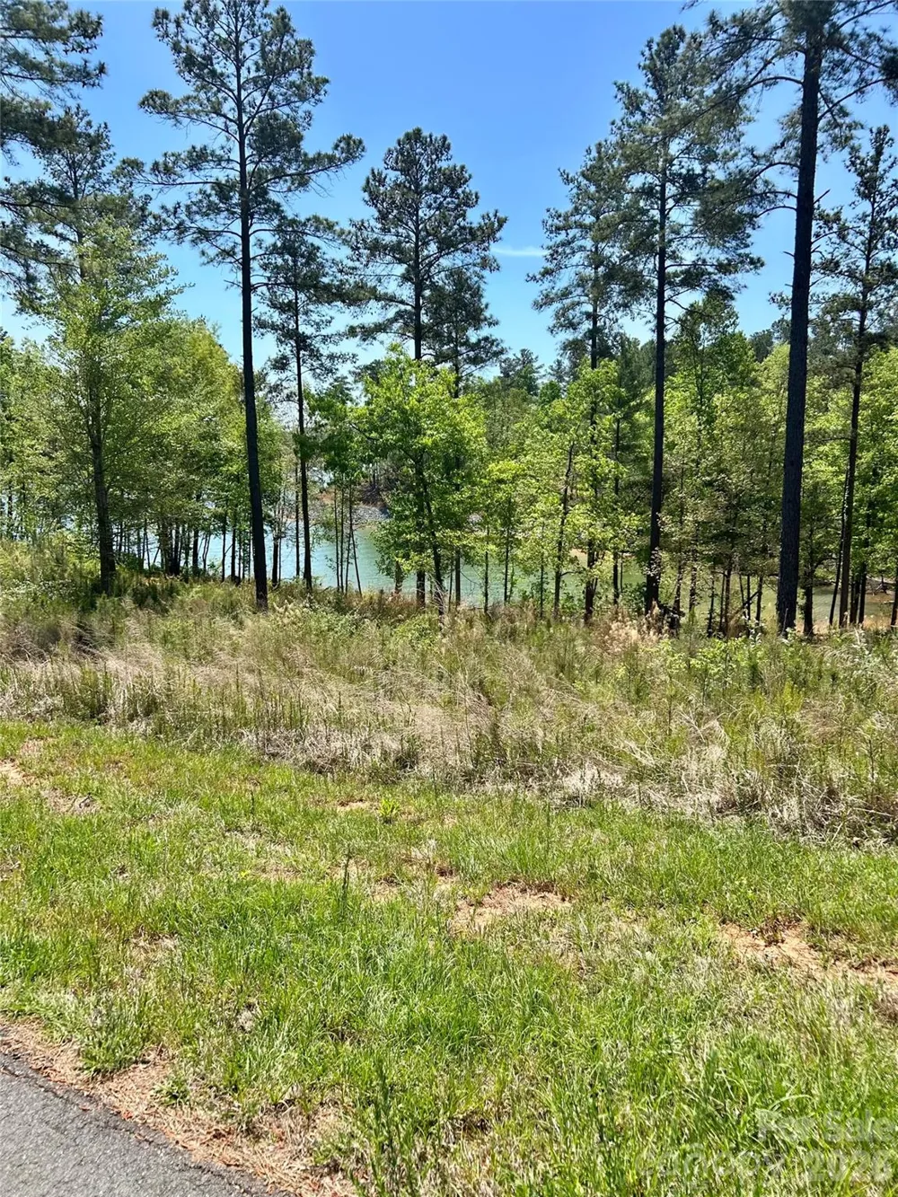 2960 Jumping Run #89 Connelly Springs, NC 28612