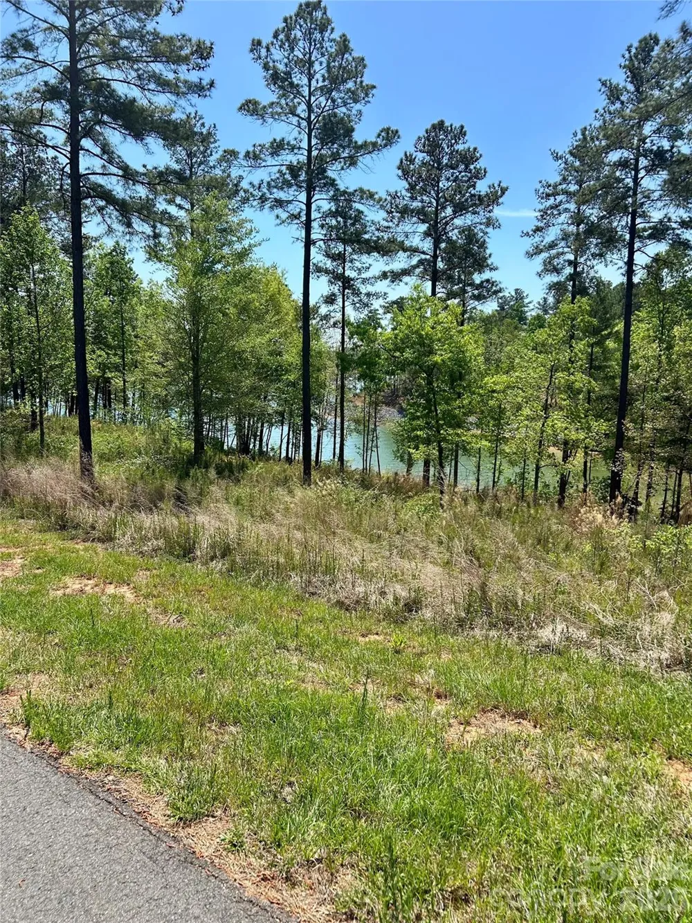 2960 Jumping Run #89 Connelly Springs, NC 28612