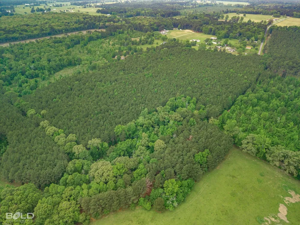 Boothville Road Doyline, LA 71023